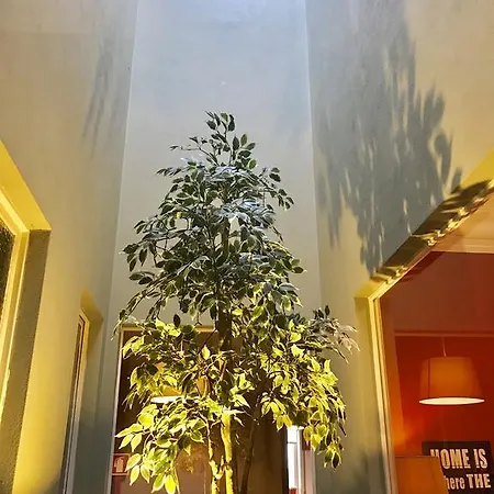 Apartment Baixa Porto